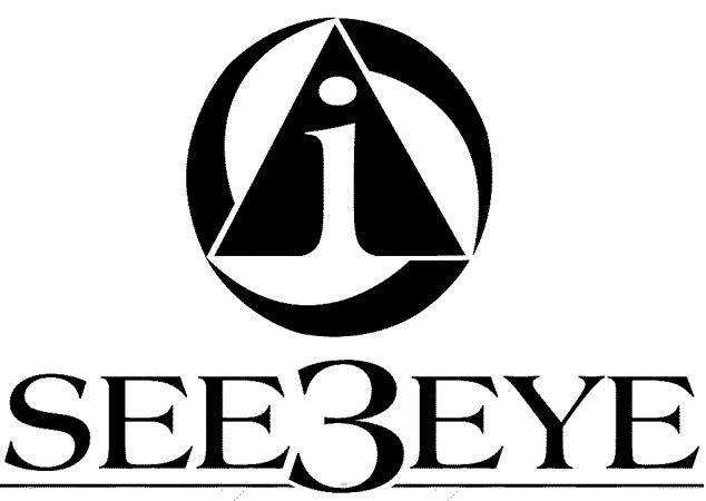 bringing ideas to life